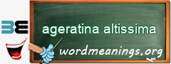 WordMeaning blackboard for ageratina altissima